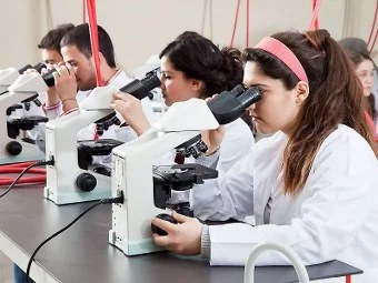 İstanbul Yeni Yüzyıl Üniversitesi Fotoğraf 6